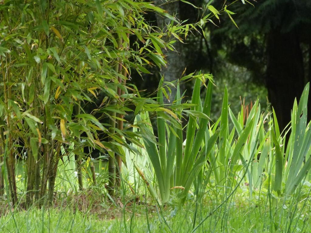 Bruce Castle Bed & Breakfast Brix ภายนอก รูปภาพ